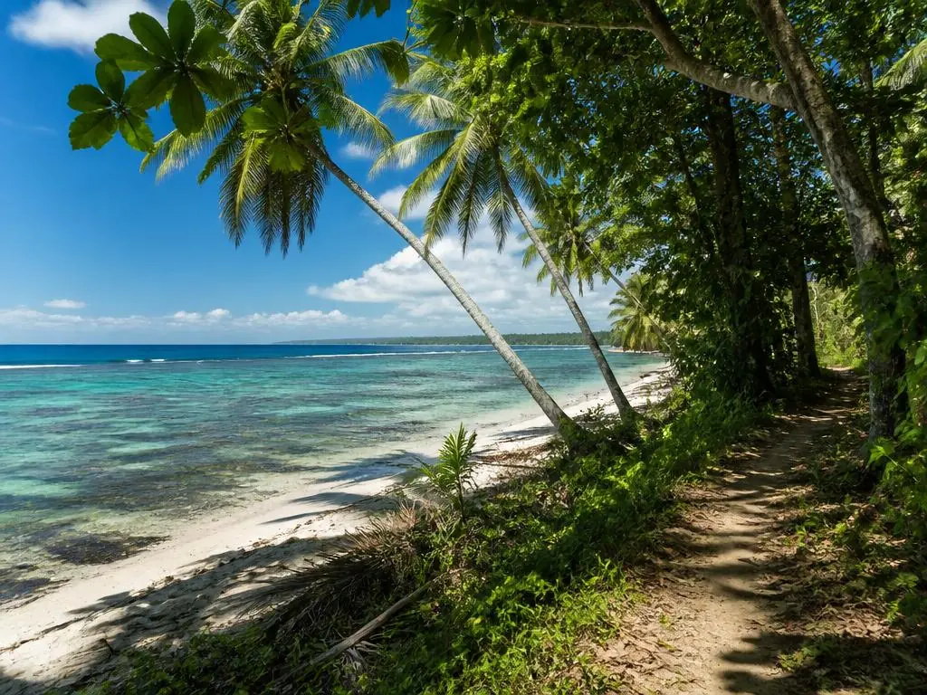 Caribbean coastline and coral reef shallows at Cahuita