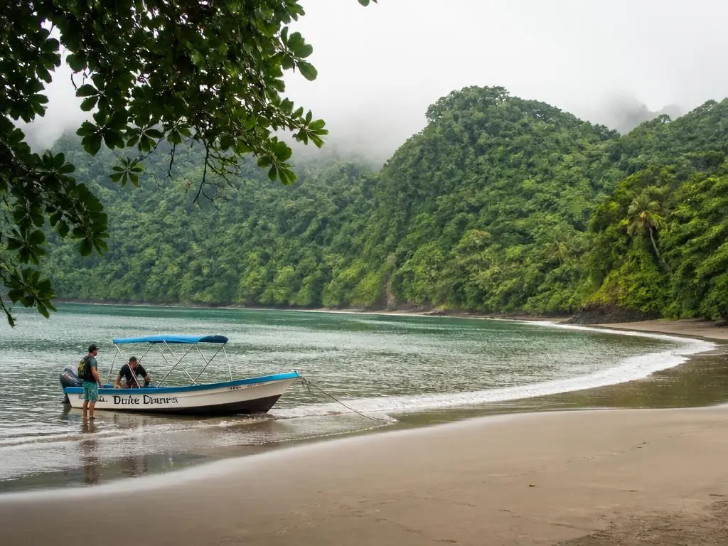 Remote rainforest cliffs meeting the Pacific at Drake Bay