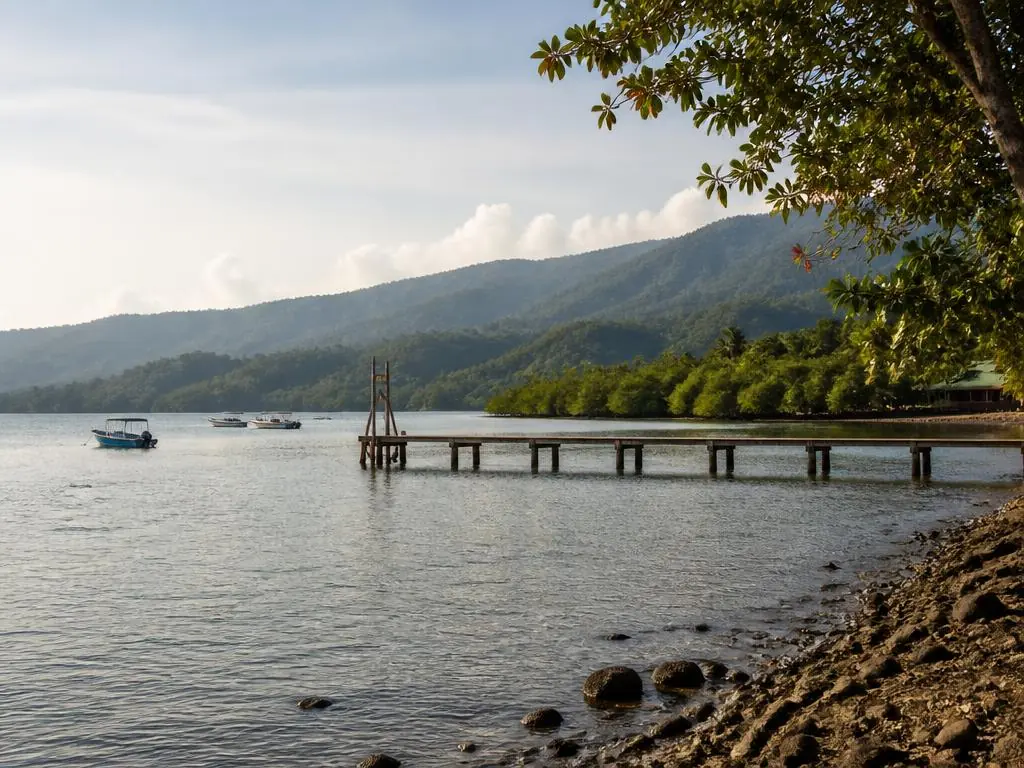 Calm Golfo Dulce shoreline and mangroves at Puerto Jiménez