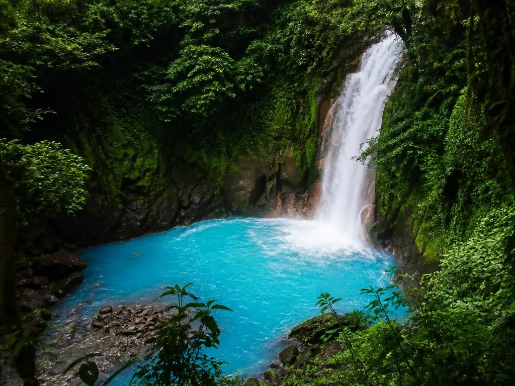 The turquoise waterfall of Río Celeste in dense rainforest