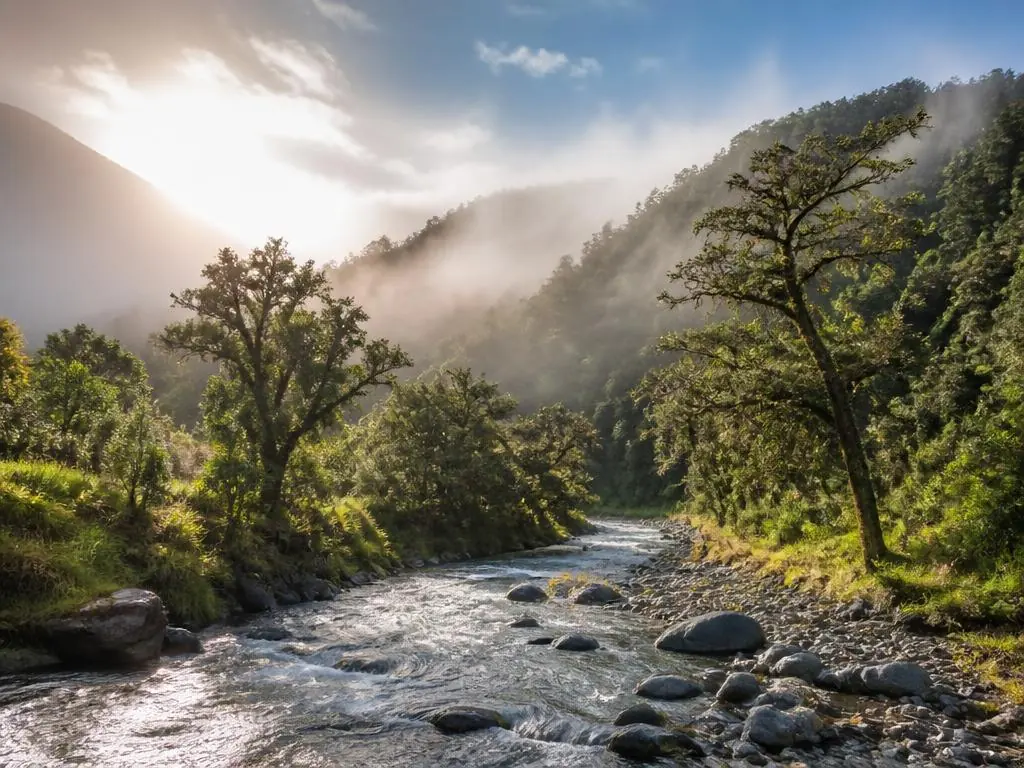 Misty oak cloud forest and trout river at San Gerardo de Dota